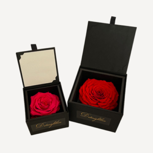 De Longlife Rose Boxen - Datenightbox